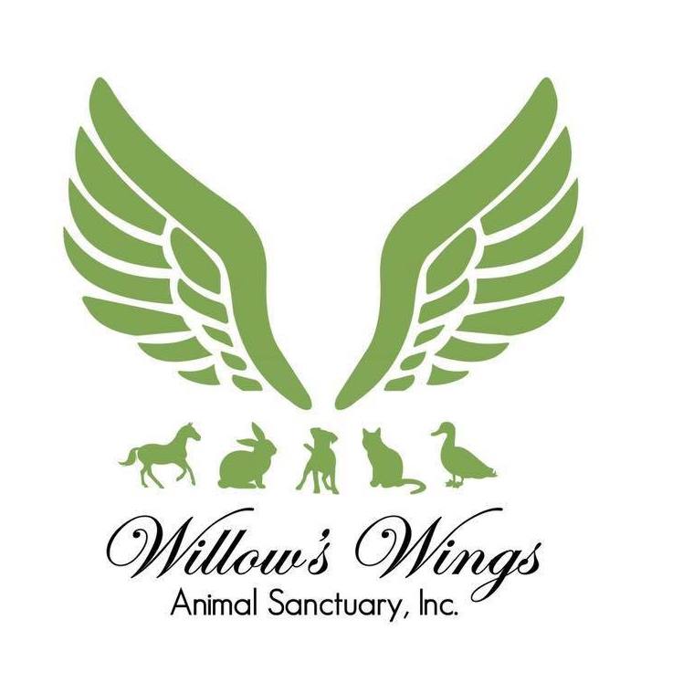 Read more about the article Willow’s Wings Animal Sanctuary