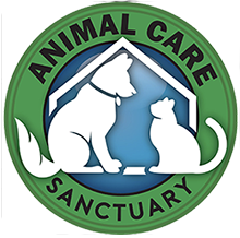 Animal Care Sanctuary Southern Tier Tuesdays