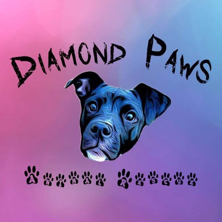 Diamond Paws Animal Shelter Southern Tier Tuesdays