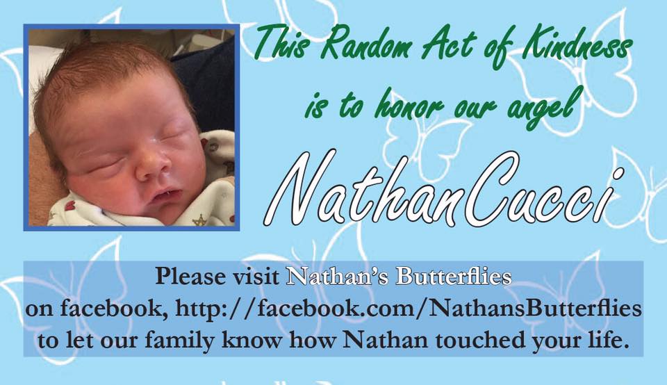 Read more about the article Nathan’s Butterflies