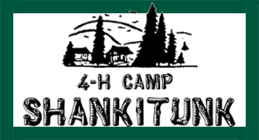 Read more about the article 4H Camp Shankitunk