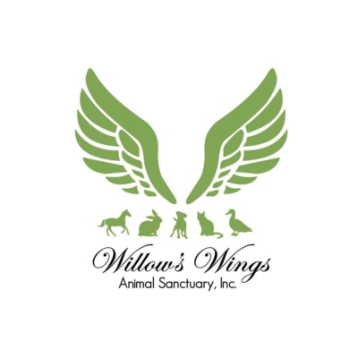 Willow's Wings logo