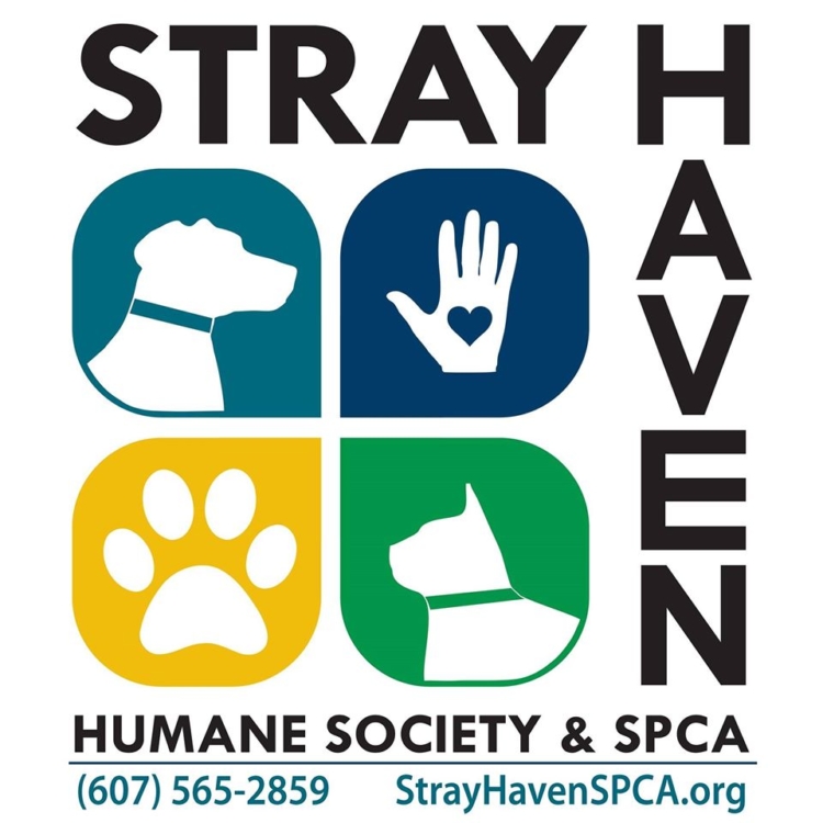 Stray Haven Humane Society, SPCA Southern Tier Tuesdays